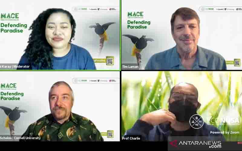 Tim Laman: Temuan Spesies Cenderawasih Jadi Alasan Lindungi Hutan Papua