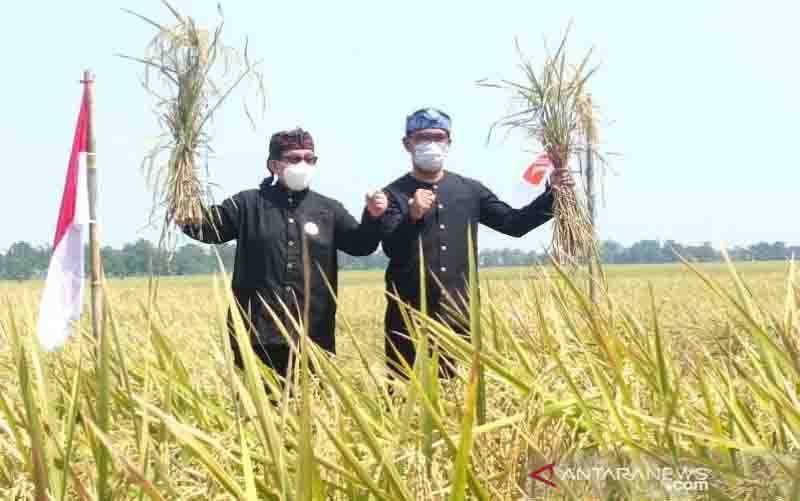 Ketua Majelis Syura PKS Minta Negara Lindungi dan Sejahterakan Petani