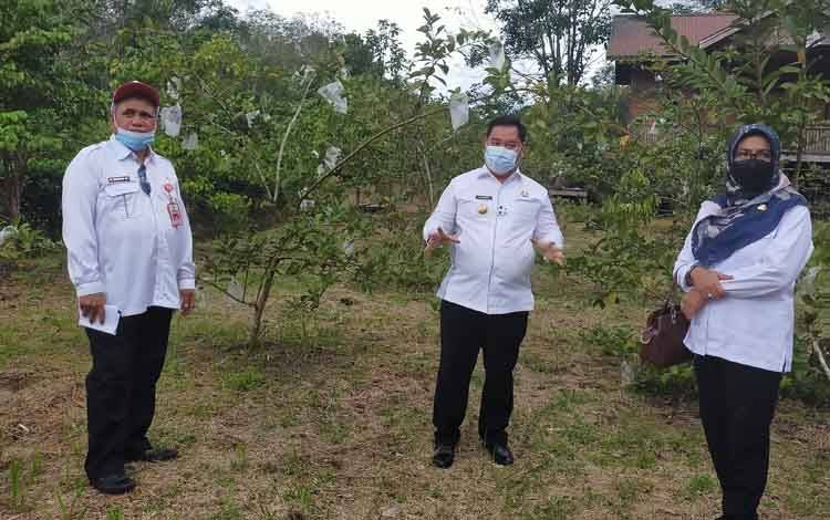 Kelurahan Tanah Mas akan Dijadikan Kawasan Agrowisata