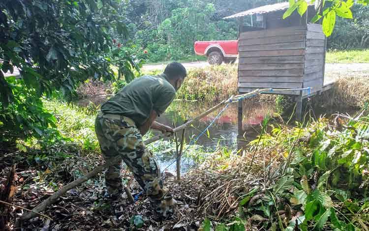 BKSDA Pasang 2 Alat Jerat dan 1 Pancing Buaya di Sungai Sapihan