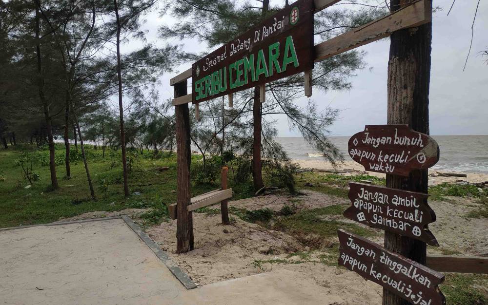 Pantai Seribu Cemara Destinasi Wisata Wajib Dikunjungi di Desa Sungai Bakau