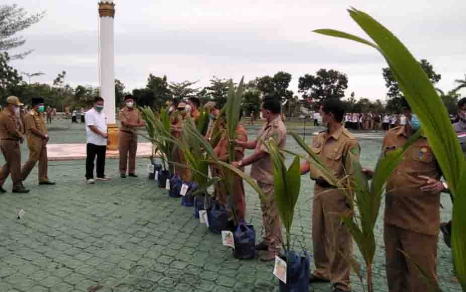Pemkab Sukamara Salurkan Bantuan 3.000 Bibit Kelapa Kopyor