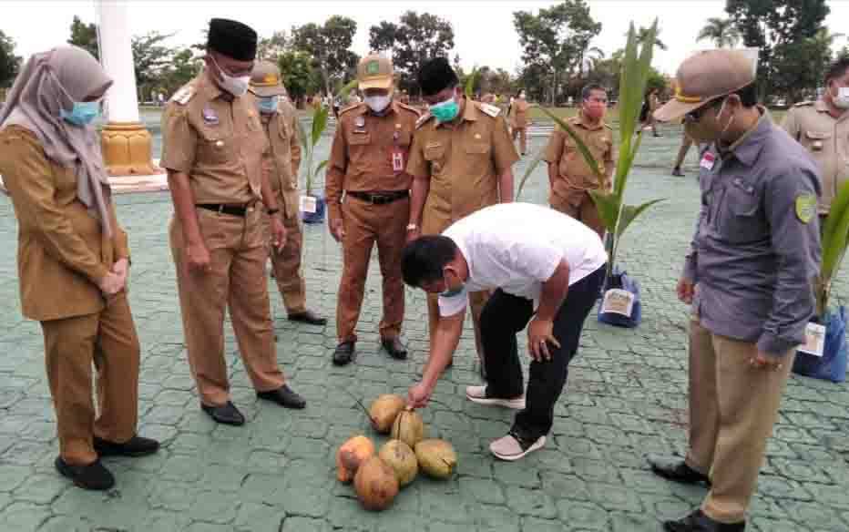 Masyarakat Sukamara Diharapkan Kembangkan Bibit Kelapa Kopyor