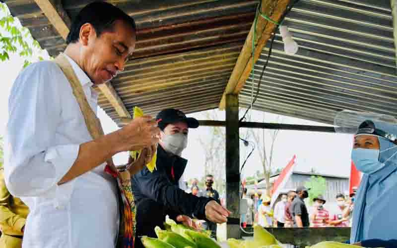 Presiden Jokowi Mampir Beli Jagung Rebus di Pinggir Jalan