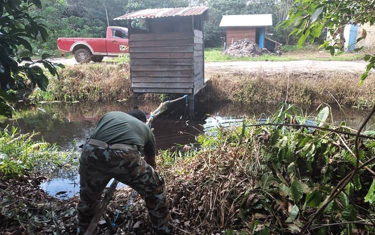 Awas, Diperkirakan Ada Lebih 3 Ekor Buaya Berkeliaran di Sungai Sapihan