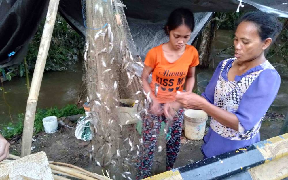 Banjir Kembali Melanda, Warga Katingan Ramai-ramai Tangkap Ikan Saluang