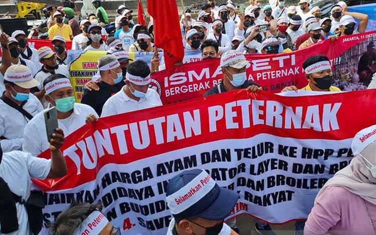 Peternak Tagih Janji Presiden soal Pengadaan 30 Ribu Ton Jagung Pakan