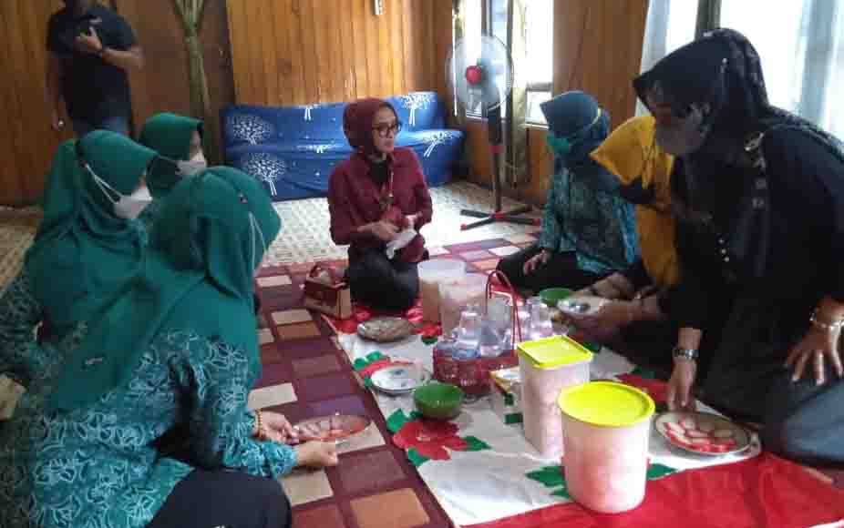 Ketua PKK Provisi Kalteng Tinjau UMKM di Sukamara