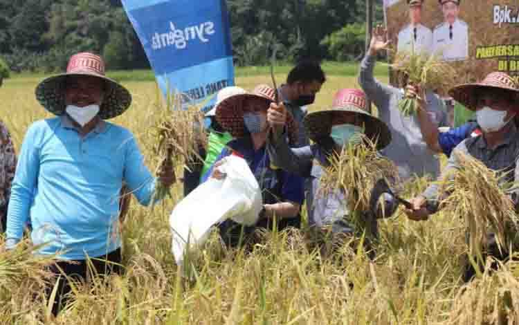 Bupati Barito Timur Dorong Petani Tingkatkan Luas Tanam Padi