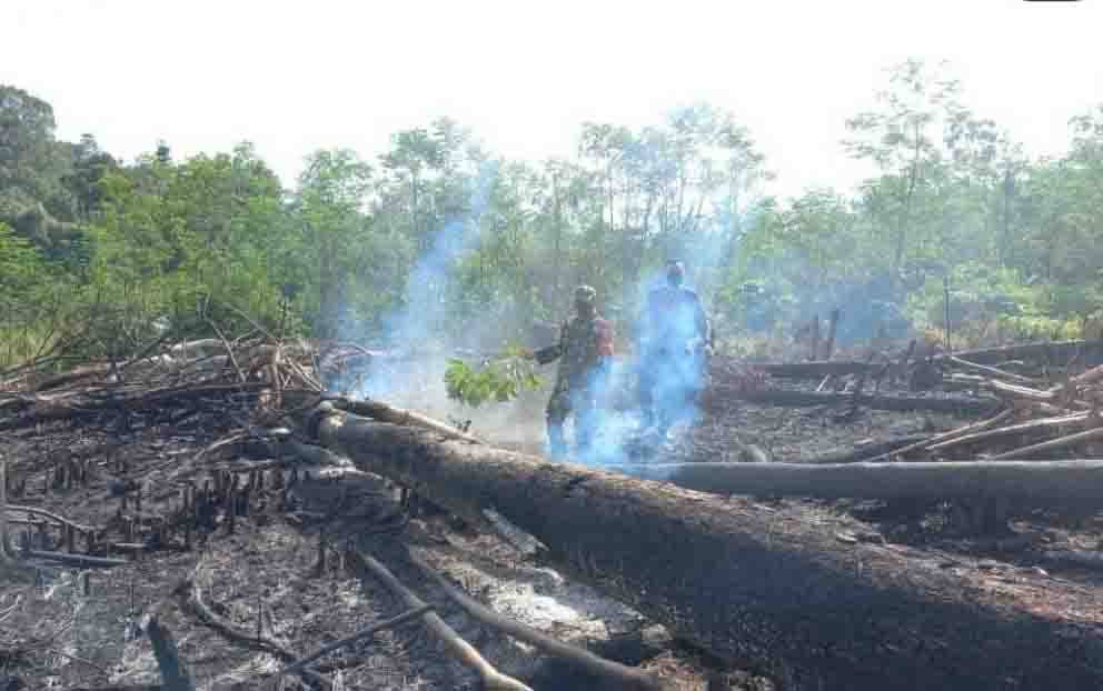 Didatangi Petugas Gabungan, Kebakaran Lahan Sudah Padam