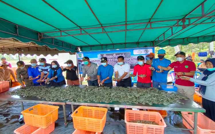 Undang Vaname Asal Sukamara Merambah Pasar Domestik