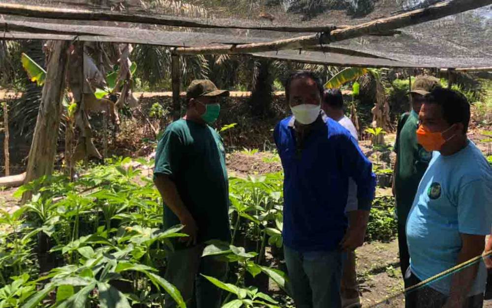 Petrus Rinda (masker kuning) saat berdiskusi dengan Anggota DPR RI Bambang Purwanto di lahan pengembangan porang.