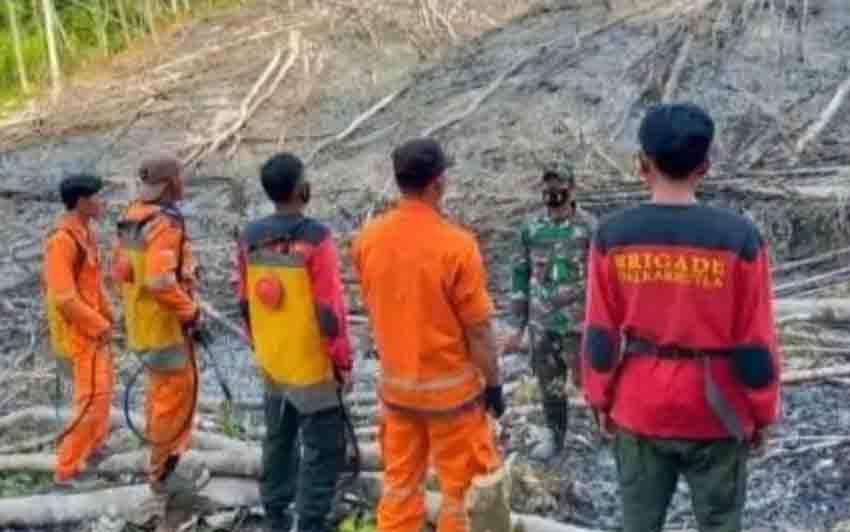 BPBPK Kalteng: Kejadian Karhutla di Kalteng Capai 415 Kali