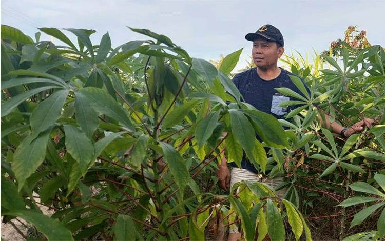 Wakil Ketua MPR: Pemahaman Sumber Pangan Beragam Perlu Ditingkatkan