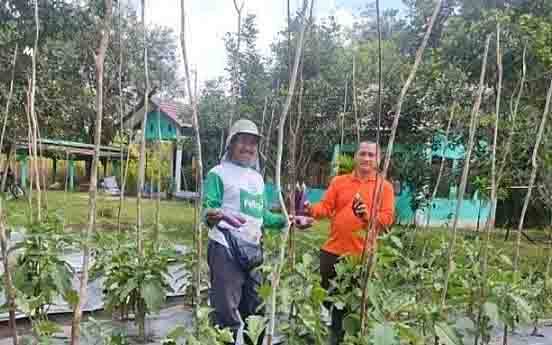 Koordinator BPP Paju Epat, Lukmanul Chakim bersama petani di lahan kaji terap milik BPP