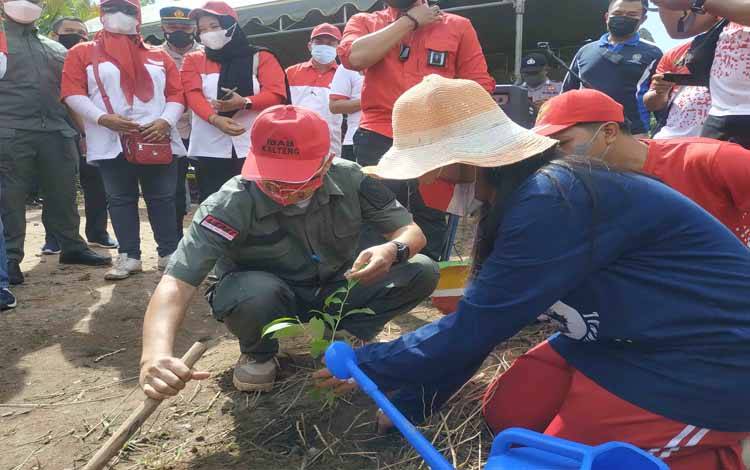 Bupati Seruyan Lakukan Aksi Penanaman Pohon di Kawasan Pantai Siamuk