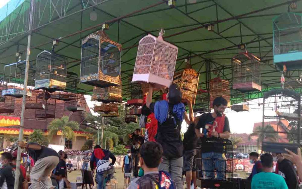 DPRD Kobar Gelar Lomba Burung Berkicau, Pesertanya dari Berbagai Daerah