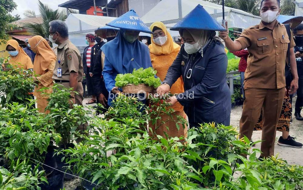 Bupati Kobar Hadiri Panen Raya Hasil Budidaya Kelompok Wanita Tani Mandiri Bersatu