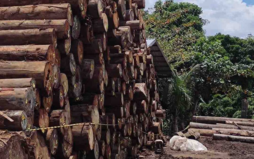Hilirisasi Industri Harus Mengacu ke Kapasitas Pertumbuhan Ekonomi Daerah