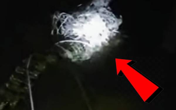 Heboh, Warga Tangkap Buaya Besar di Sungai Lenggana