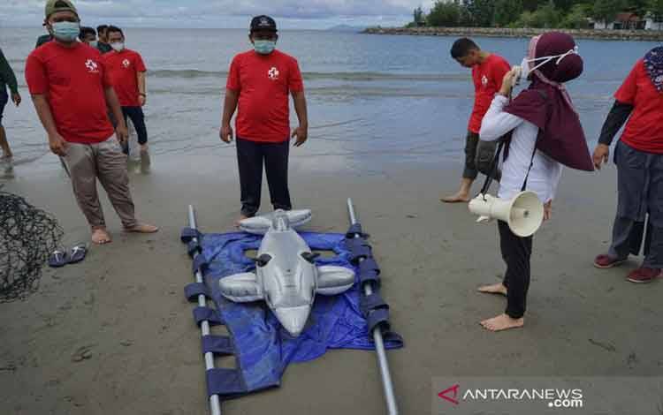 WWF: 444 Kejadian Mamalia Laut Terdampar di Indonesia dalam Lima Tahun