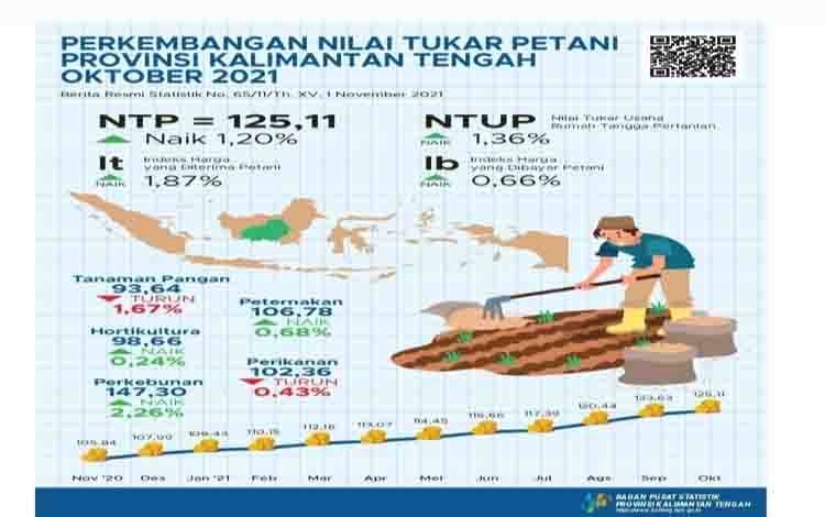 Oktober 2021, Nilai Tukar Petani Gabungan Kalteng Naik 1,20 Persen
