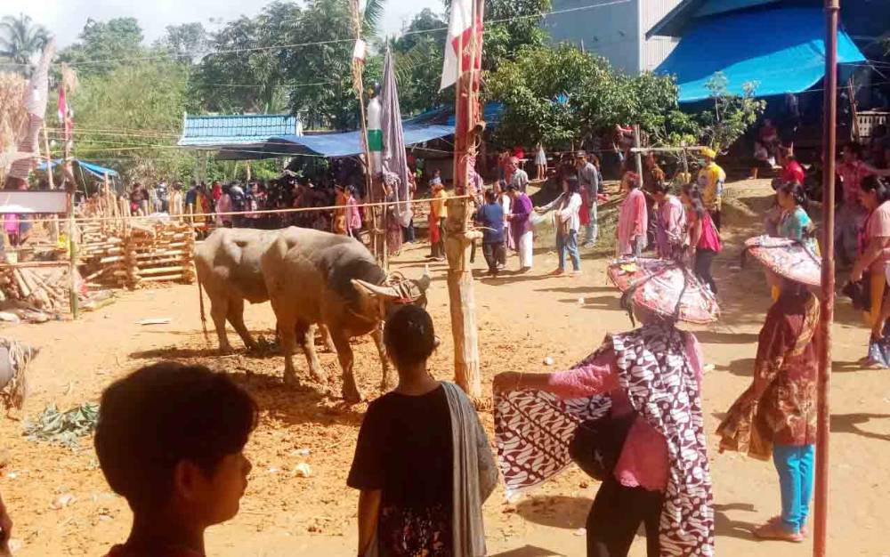 Ritual Tiwah Harus Terus Dijaga dan Lestarikan