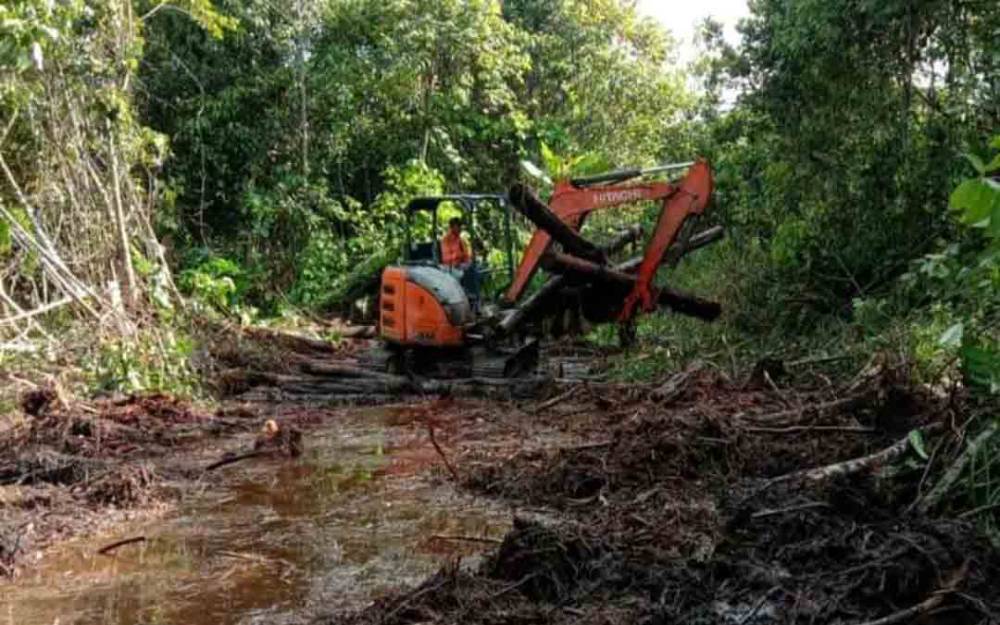 Dinas Pertanian Barito Utara Percepat Program Opla Rawa
