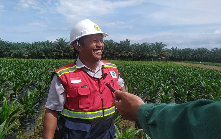 Benarkah Anggapan Kelapa Sawit Rakus Air?
