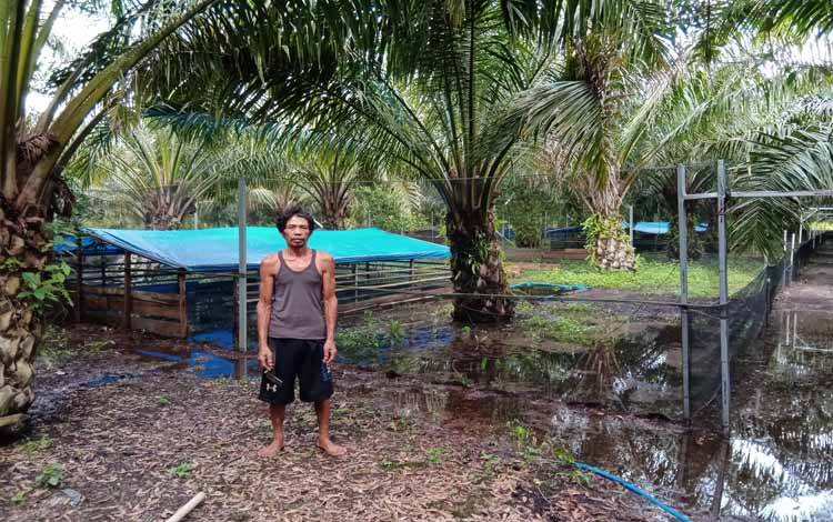 9 Kelompok Tani di Desa Kanamit Barat Beternak Bebek
