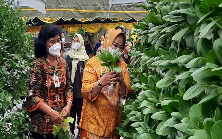 Program Kelompok Wanita Tani Mampu Penuhi Ekonomi Keluarga