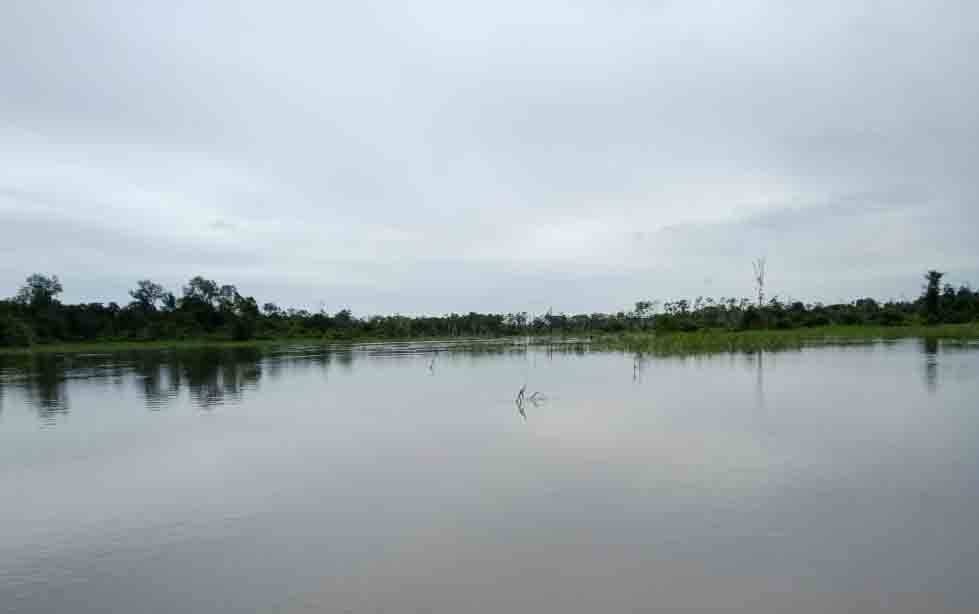 Hindari Gagal Panen, Petani Diminta Tunda Masa Tanam