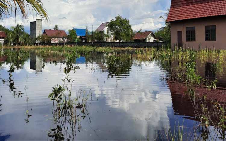 90 Hektare Lahan Pertanian Kebanjiran di Palangka Raya