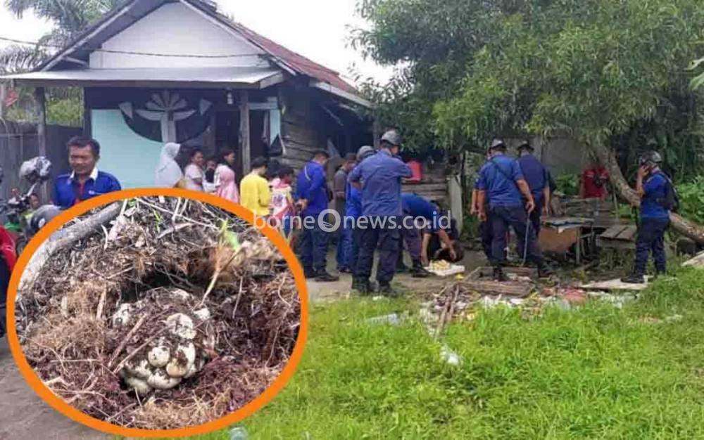 Induk Ular Gagal Ditangkap, Petugas Malah Temukan Hal yang Bikin Merinding
