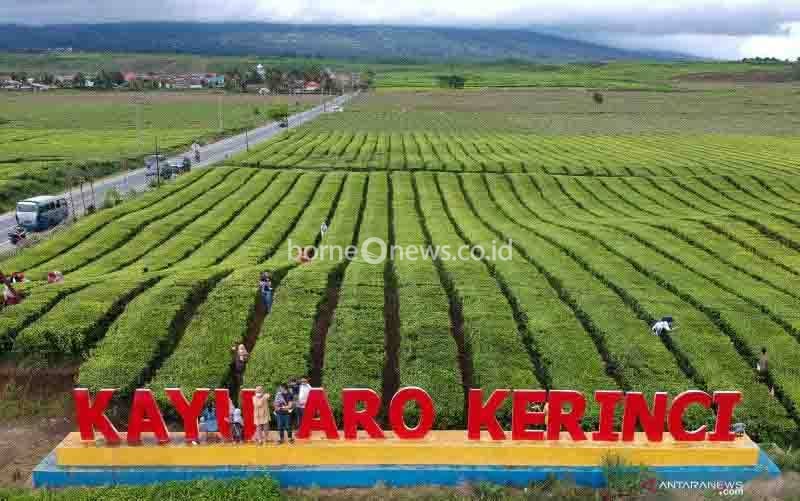 Teh Indonesia Senilai Rp 57 Miliar Siap Banjiri Pasar Malaysia