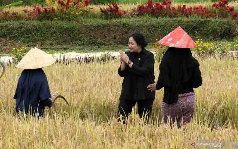 Ketua DPR: RUU TPKS Cegah Kasus Kekerasan Terhadap Perempuan