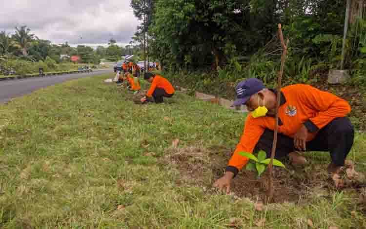 Peringati HKAN, DLH Sukamara Tanam 450 Pohon Buah di Bahu Jalan