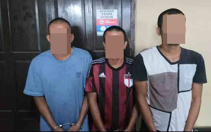 Curi Sawit di Kebun Plasma, Diangkut ke Parit Hingga Ditangkap