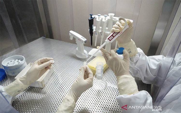 Pakar: WHO Belum Umumkan Tingkat Keganasan Varian Baru B.1.1.529
