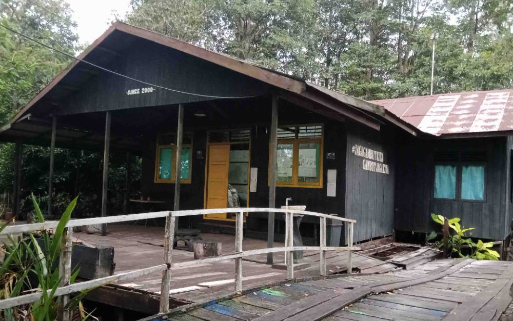 Mengenal Kawasan Hutan Dengan Tujuan Khusus di Tumbang Nusa