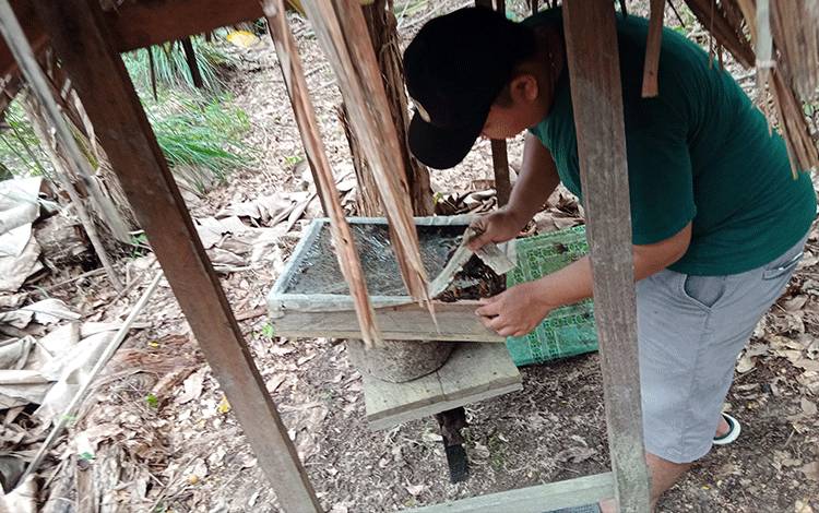 KUPS Madu LPHD Buntoi Alami Kendala Pemasaran Madu Kelulut