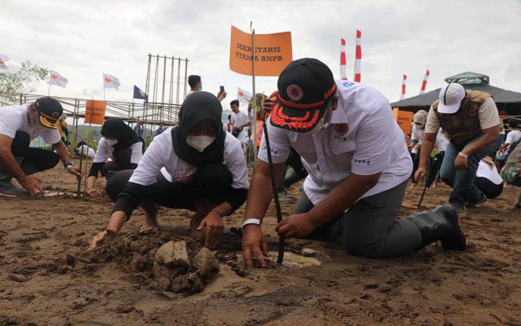 BNPB Usung Konsep Mitigasi Bencana Tsunami Berbasis Ekosistem
