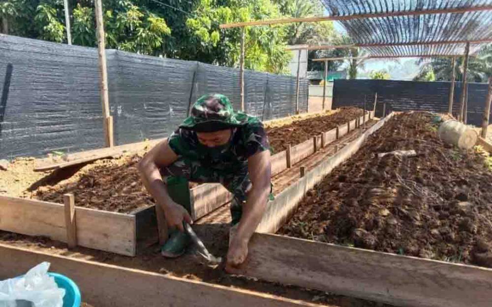Wujudkan Ketahanan Pangan, Anggota Koramil Aruta Manfaatkan Lahan Kosong