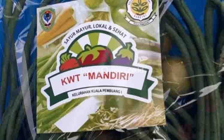 Ini Kiat Kelompok Wanita Tani Kuala Pembuang I Tarik Minat Warga Beli Sayuran