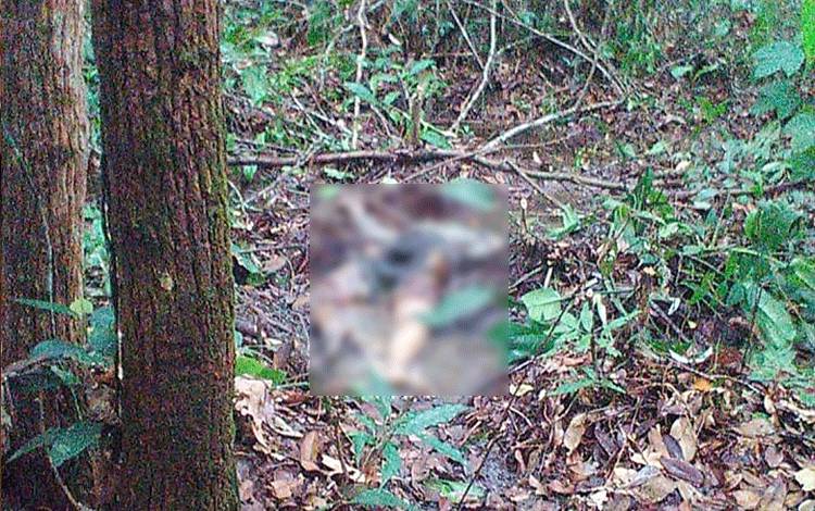 19 Hari Dicari, Warga Desa Haringen Ditemukan dengan Kondisi Begini