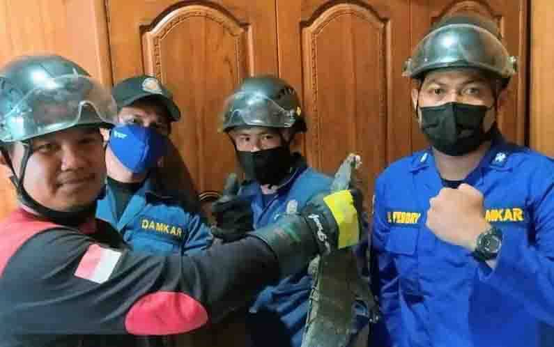 Heboh, Biawak Masuk Kamar Warga Jalan Kelapa Sawit Sampit