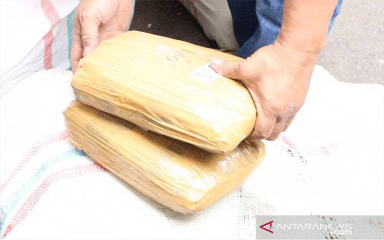 Polisi Gagalkan Peredaran Setengah Ton Ganja