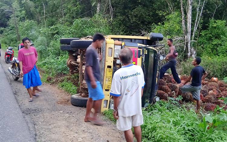 Hindari Tabrakan dengan Pemotor, Truk Pengangkut Sawit Terguling