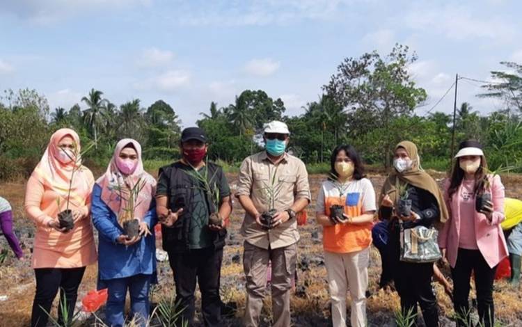 Pemko Fasilitasi Kelompok Tani di Habaring Hurung Budidayakan Jahe Merah