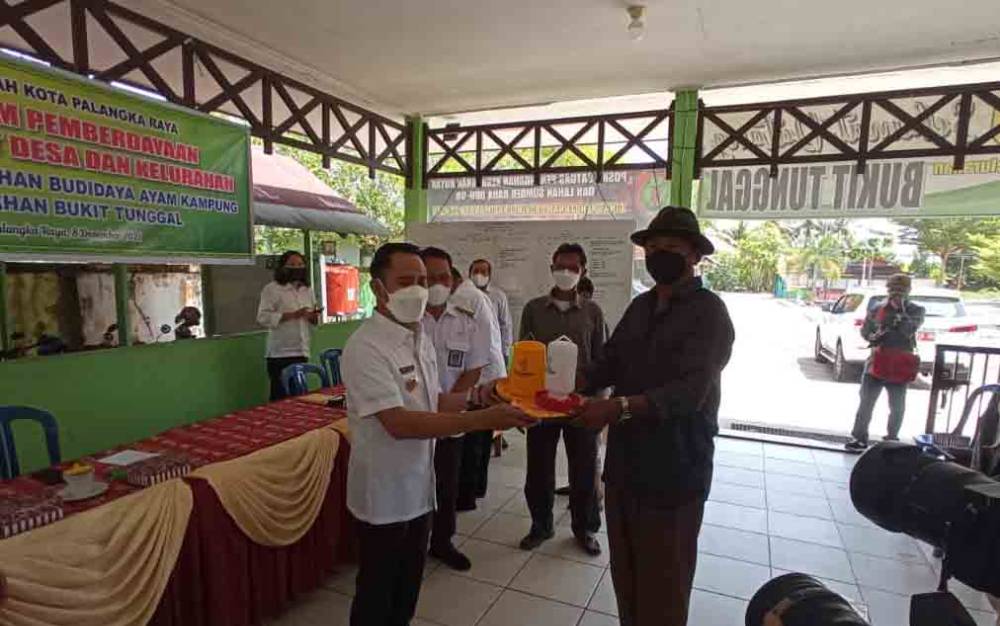 Pemko Palangka Raya Gelar Pelatihan Budidaya Ayam Kampung